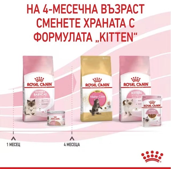 Royal Canin Mother and Babycat - Суха храна за бременни и кърмещи котки и подрастващи котенца от 1 до 4 месеца